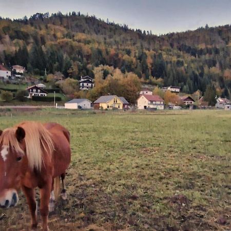 RochessonLe Vivaldi, Au Coeur Du Massif Vosgien Avec Terrain De Petanque别墅 外观 照片