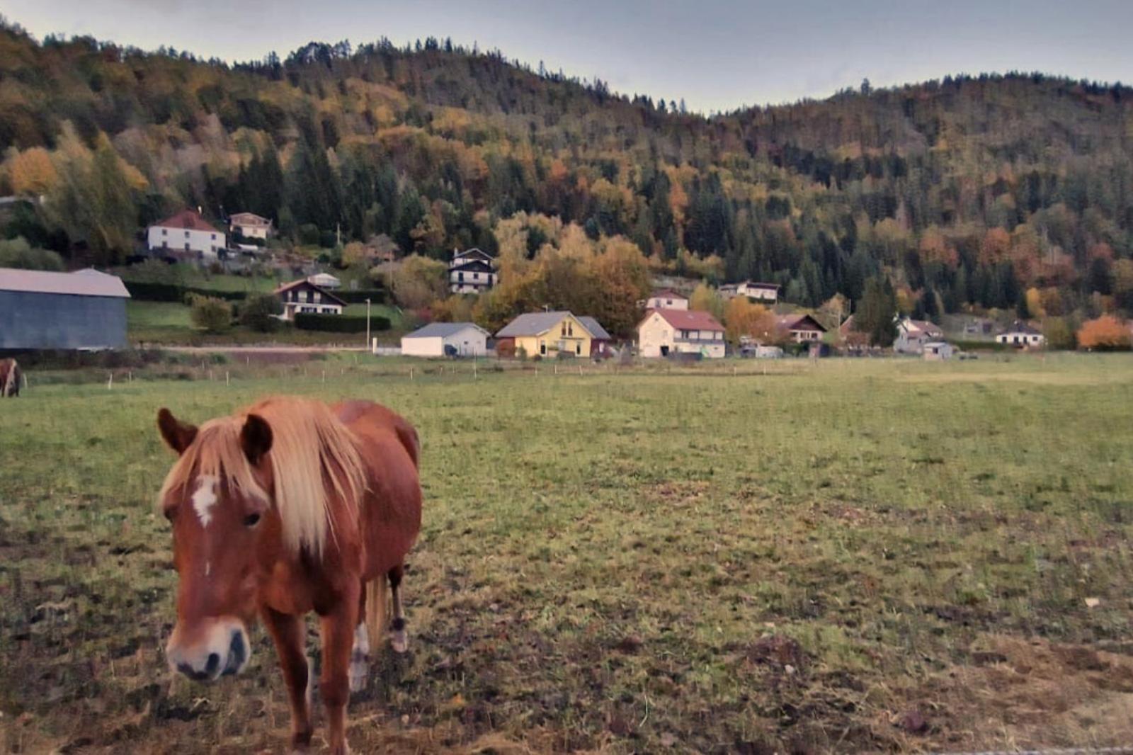 RochessonLe Vivaldi, Au Coeur Du Massif Vosgien Avec Terrain De Petanque别墅 外观 照片